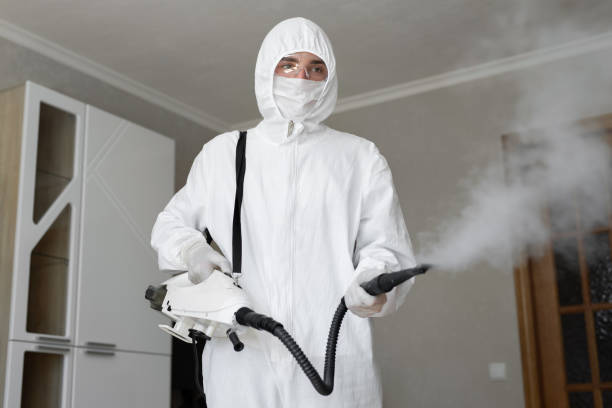 Best Emergency Mold Remediation  in La Verkin, UT